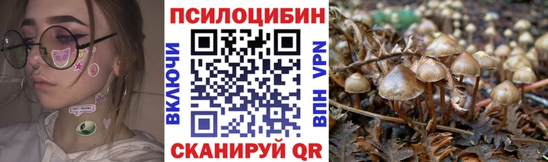 Псилоцибиновые грибы GOLDEN TEACHER  mega   Сочи 
